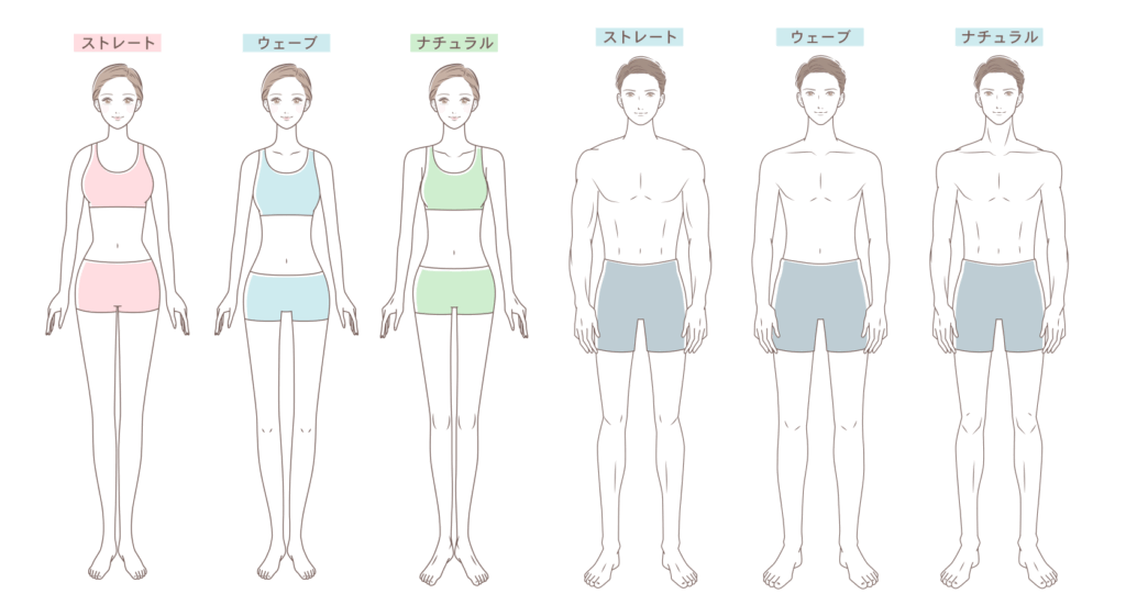 骨格診断のストレート・ウェーブ・ナチュラルタイプの男女全身イラスト